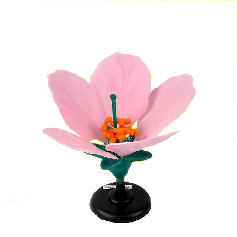 桃花模型