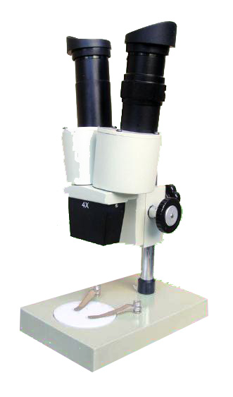 体视显微镜
